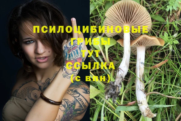мескалин Аркадак