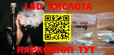 шишки Рыбинск